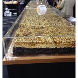MAMPARA PROTECCIÓN TURRON